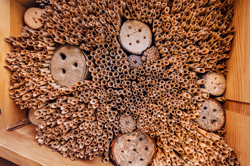 The living wood of the bee hotel sustains life, creating a harmonious environment