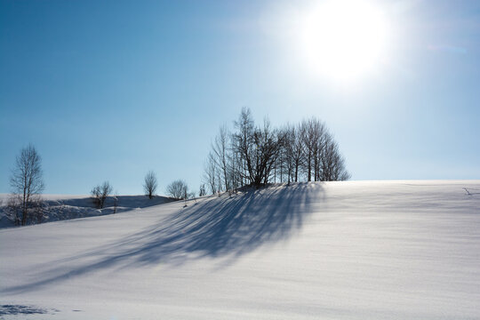 雪の丘の雑木林と青空
