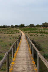 Fototapeta premium Camino infinito 