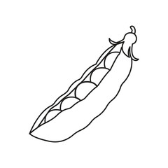 A green pea pod split to reveal a row of peas inside.