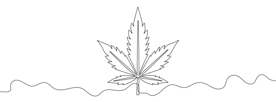 Continuous line drawing of medical hemp. Single line cannabis icon.