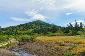 夏の八甲田山　日本百名山登山