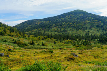 Naklejka premium 夏の八甲田山 日本百名山登山