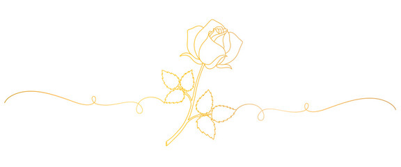 rose line art style. valentine elements.	