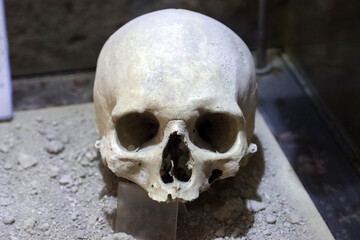 Real human skull. Archaeological find