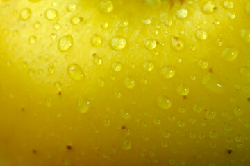 Yellow ripe apple with dew drops on the peel