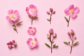 Fotobehang a pink background with pink flowers and leaves © mizmizstk