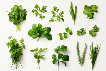 a bunch of green herbs on a white surface