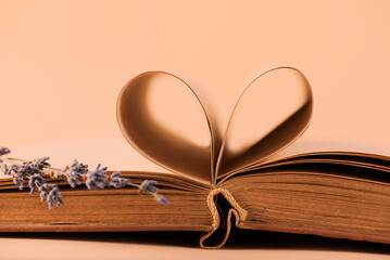 Open book with heart shaped pages and lavender flowers on a peach background, education, learning,...