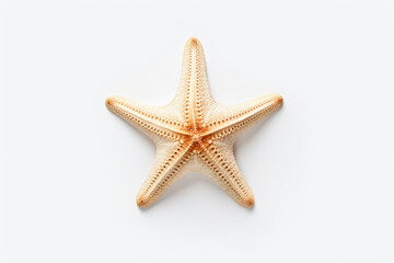 Fototapeta na wymiar a starfish on a white surface with a white background