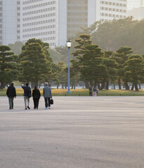 Obraz premium 冬の東京都の皇居外苑の公園の観光客の姿