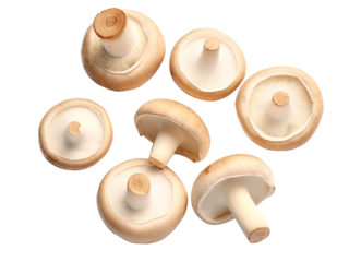 White mushrooms placed on cutting board isolated on transparent background