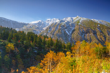 冠雪した十勝岳と紅葉　上富良野八景　北海道観光秋