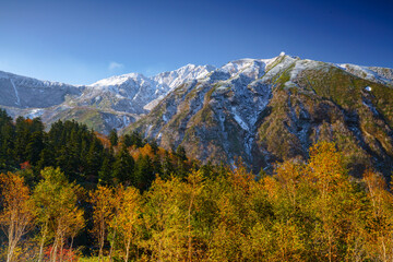 冠雪した十勝岳と紅葉　上富良野八景　北海道観光秋