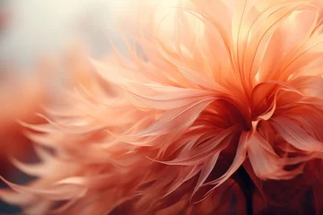Fotobehang Floral abstraction in peach color, 2024 year trend © nnattalli