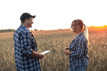 Happy farmers evaluate the wheat harvest standing in the field with a tablet in their hands at...