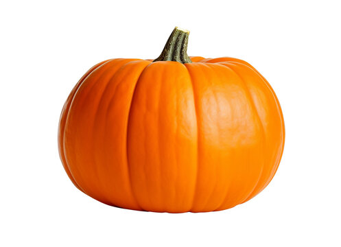 Sharp pumpkin image isolated on transparent background