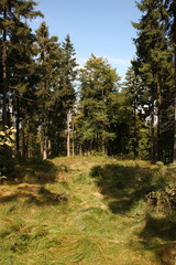 Landschaft Bayern - Bayrischer Wald / Landscape Bavaria - Bavarian Forest /