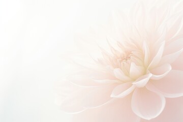 Fototapeta premium Floral background in peach color, 2024 year trend