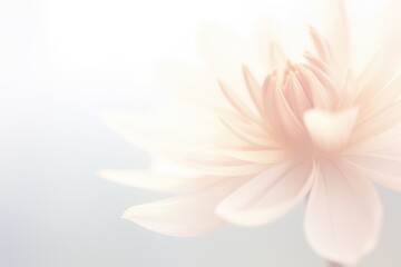 Floral background in peach color, 2024 year trend