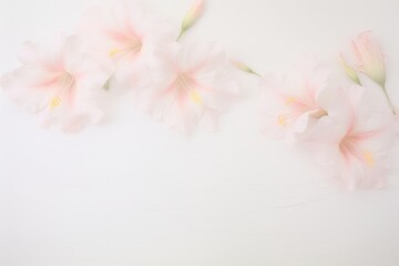 Fototapeta premium Floral background in peach color, 2024 year trend