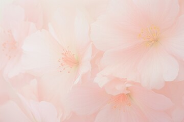 Floral background in peach color, 2024 year trend