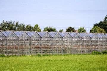 Obraz premium Greenhouses on part of the Zuidplaspolder at the green natural zone