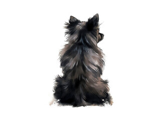 Rear image of dog sitting with his back isolated on transparent background - obrazy, fototapety, plakaty