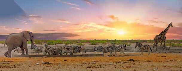 Dream Safari -Sunsetting over the African plains with Elephant, Giraffe, Zebra and Oryx. - obrazy, fototapety, plakaty
