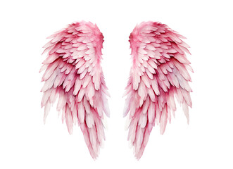 Pink angel wings isolated on transparent background