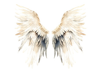 Obraz premium White angel wings isolated on transparent background