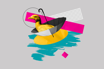 Composite collage image of funny duck swimming umbrella water pond animal zoo cute freak bizarre...