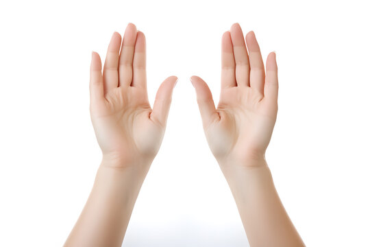 Closeup view of female hands palms isolated on white background.Two female hands in gesture of asking, praing, giving or showing something