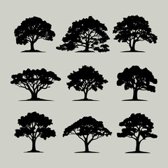 Vintage trees and forest silhouettes set, flat icon design vector on white background