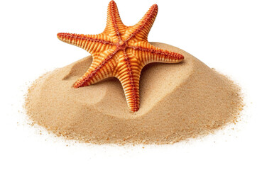 Starfish lying on sand isolated on transparent background