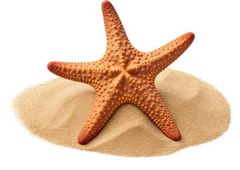 Starfish lying on sand isolated on transparent background