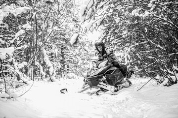 Pilot on a sports snowmobile in a mountain forest. Athlete rides a snowmobile in the mountains....
