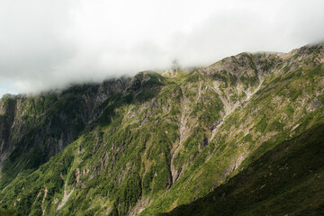 夏の山