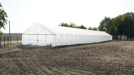 Greenhouse for growing plant seedlings.