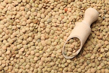Wooden scoop on many raw lentils, top view. Space for text