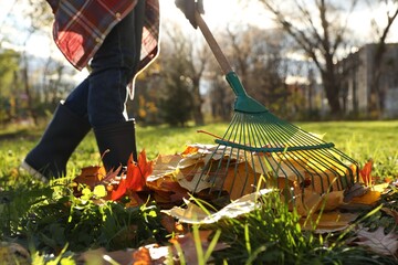 Woman raking fall leaves in park, closeup