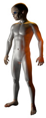 Alien Grey Creature