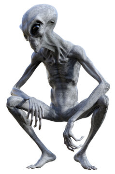 Alien Grey figure squatting