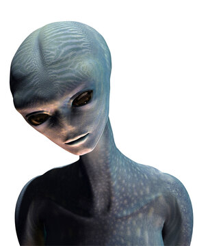 Alien Grey head and shoulders