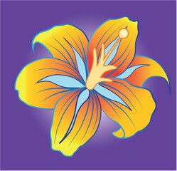 flower drawing colorful isolated background