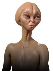 Alien Grey head and shoulders