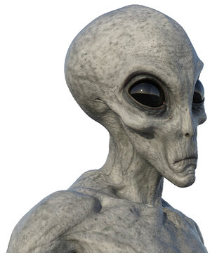 Alien Grey Head