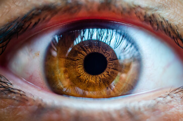 Macro eye of the person
