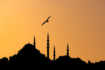 Islamic background photo. Silhouette of Suleymaniye Mosque at sunset and seagull