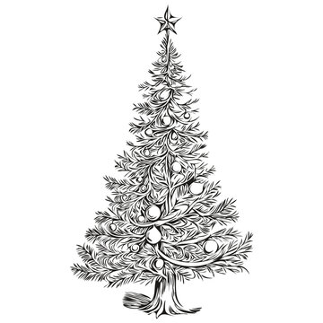Christmas Tree Vector Silhouette Sketch Hand Drawn Engraving, Graphic Detailing Feature Concept for Seasonal Themes, black white isolated Vector ink outlines template for greeting card